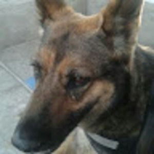 Meet your Posher, Nanbelle